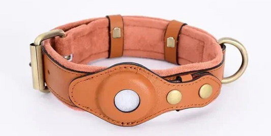 GPS Dog Collar