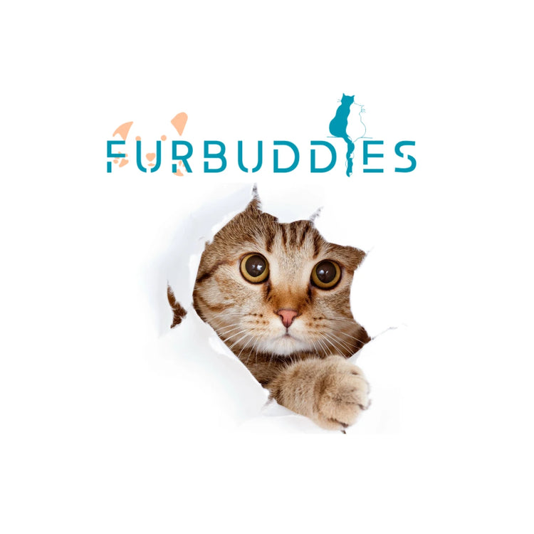 pet shop online shopping