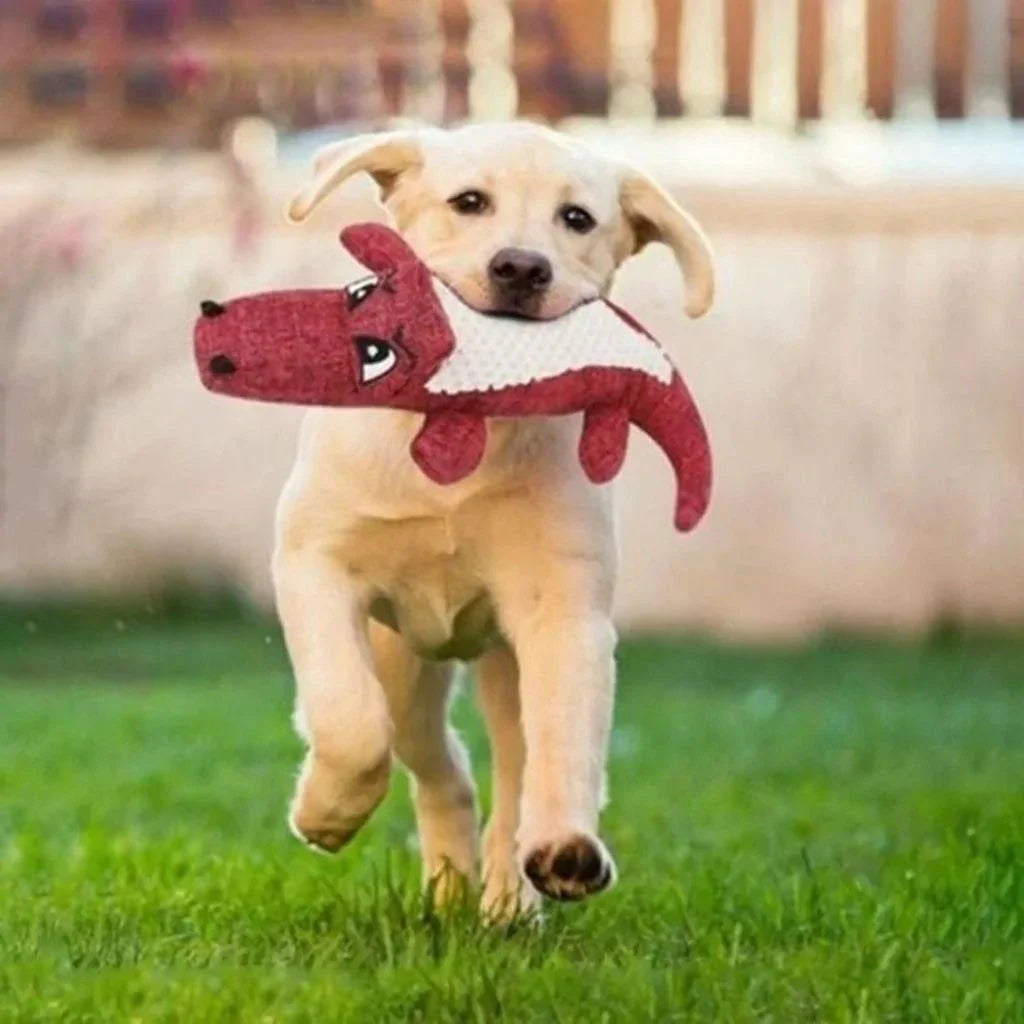 Chew Dog Toy