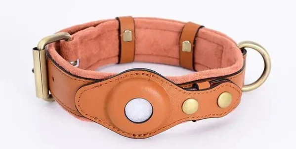 GPS Dog Collar