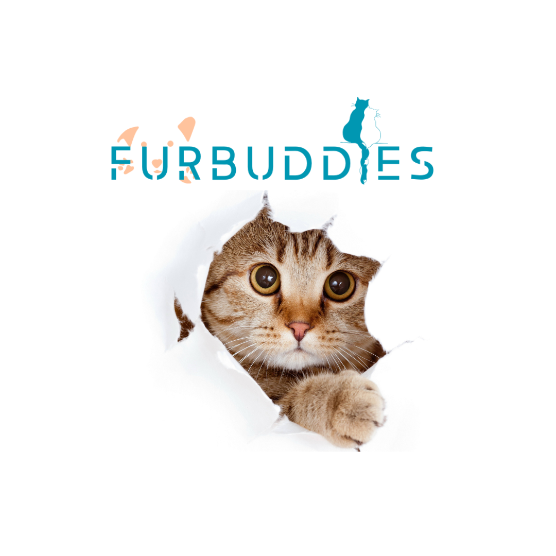 pet shop online shopping