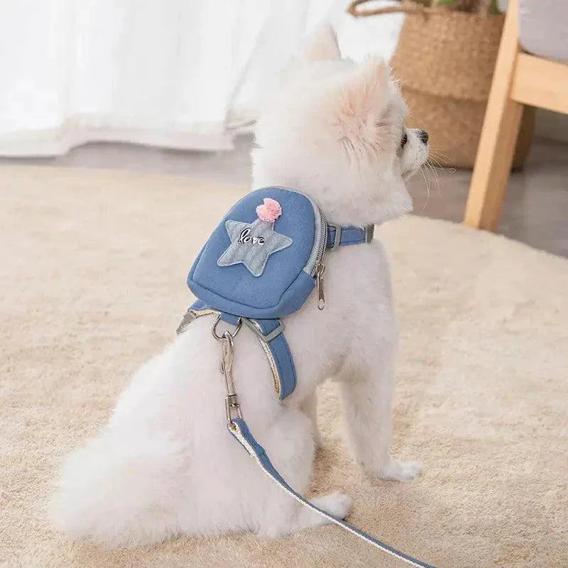 Collars and Leashes