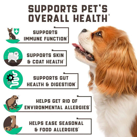 Natural Dog Allergy