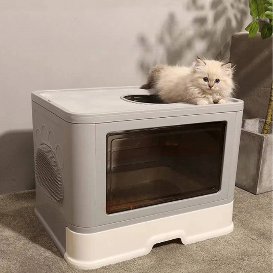 cat litter