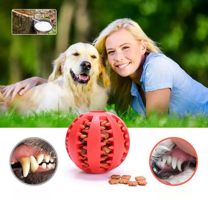 dog toys
