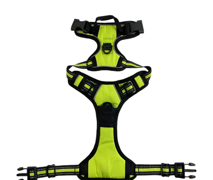 Nylon Dog Harness