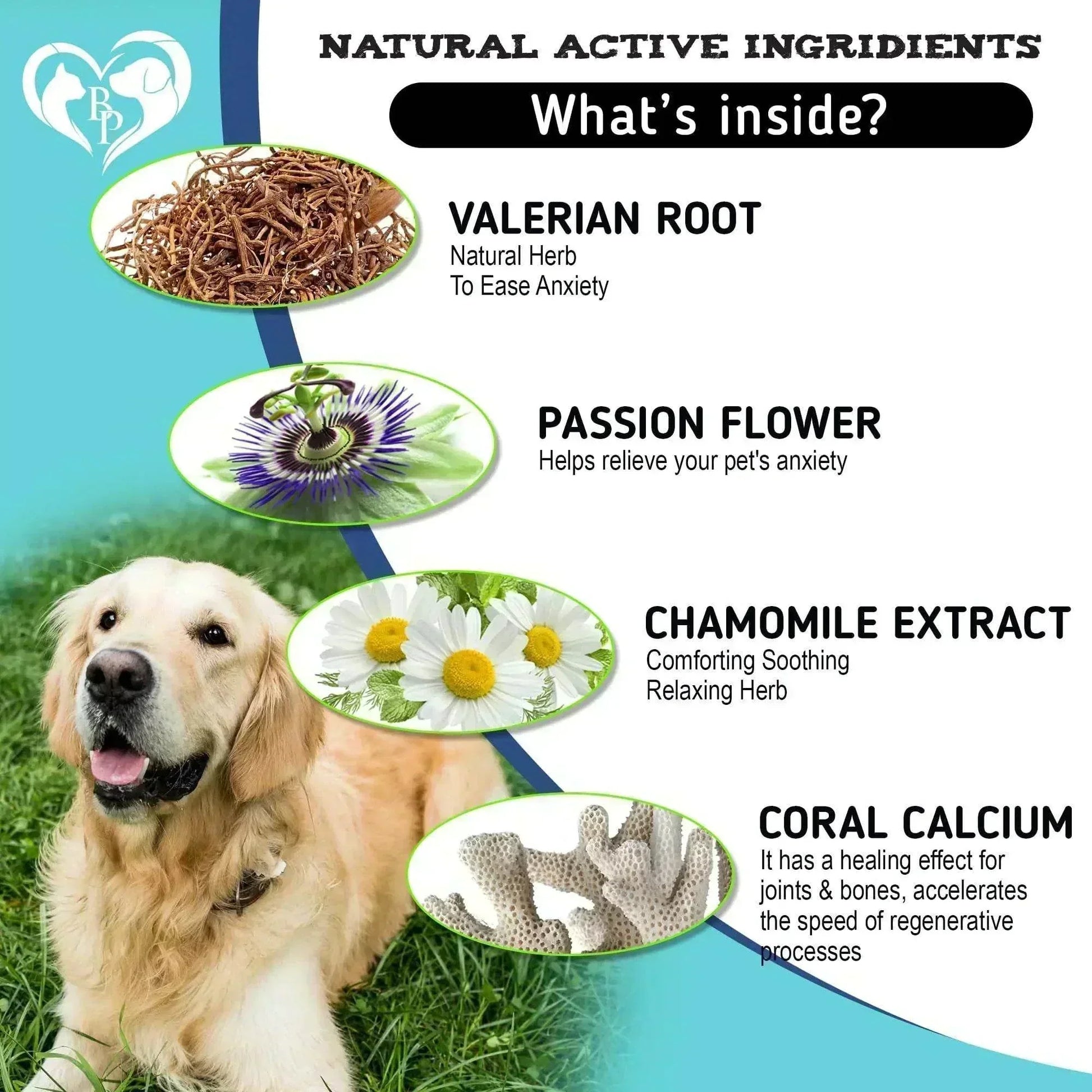 calming chews for dogs