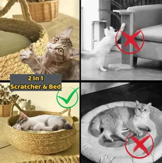 Pet Bed