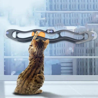 Cat Toy
