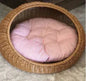 cat basket