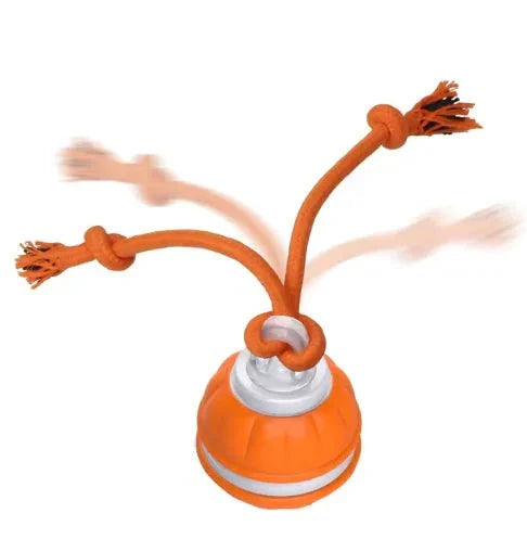 dog toys
