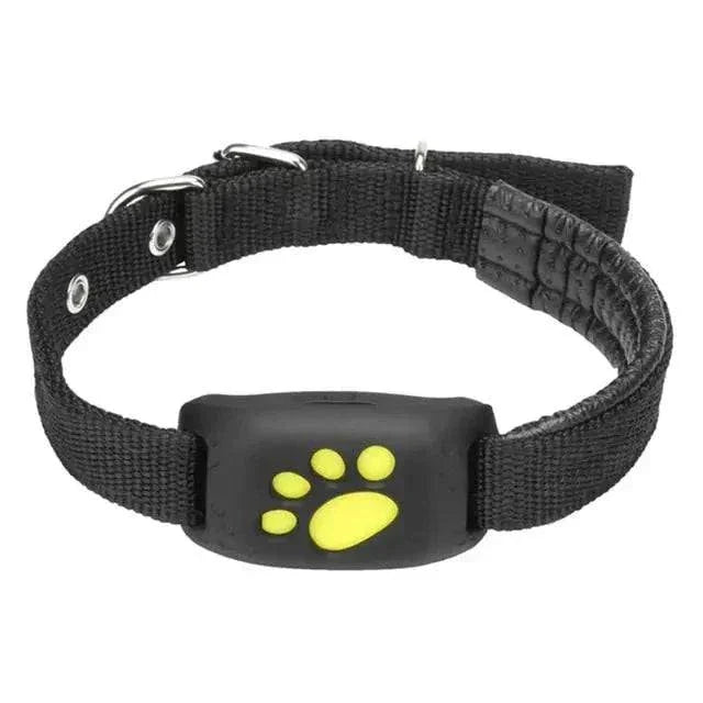 gps dog collar