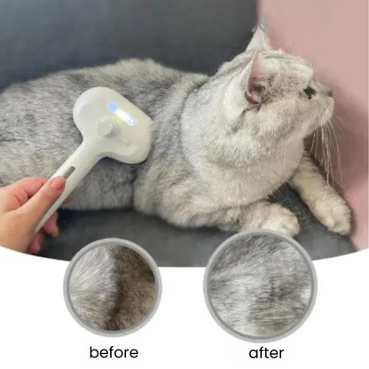 Brush for Pet