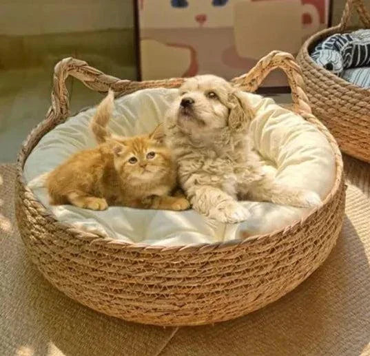 Pet Bed