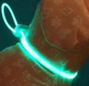 Glowing Pup Fashion