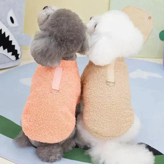 coat dog