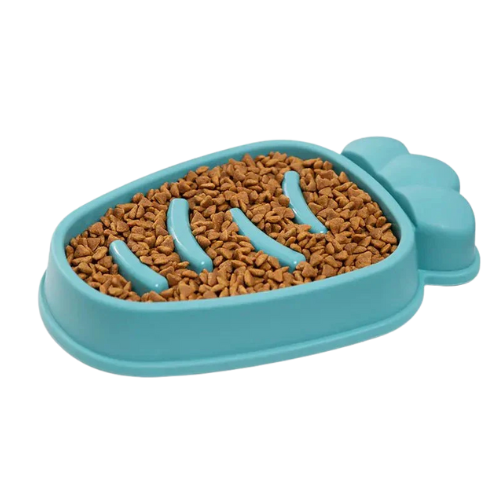 Slow Feed Dog Bowl