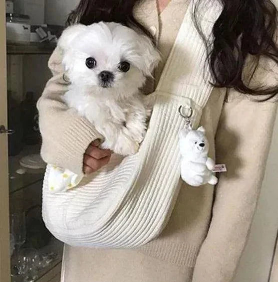 Pet Backpack