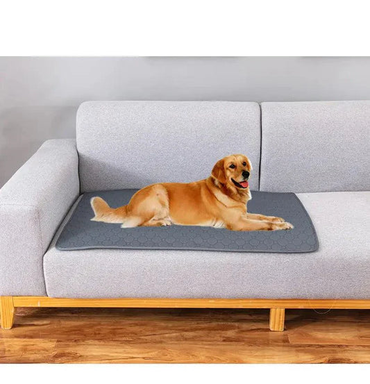 EcoWise Pet Care