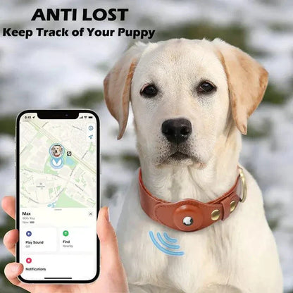 gps dog collar