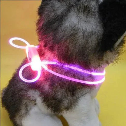 Glowing Pup Fashion