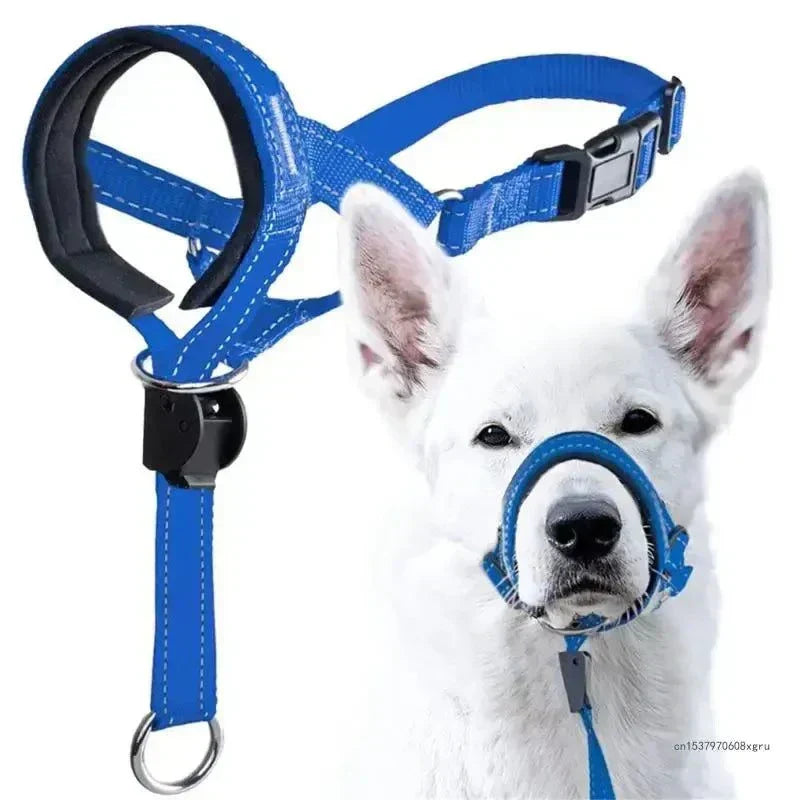 dog training collars