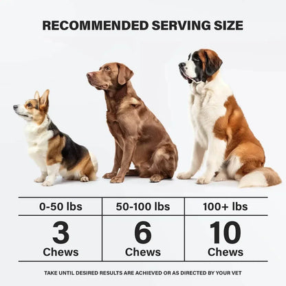 calming chews for dogs