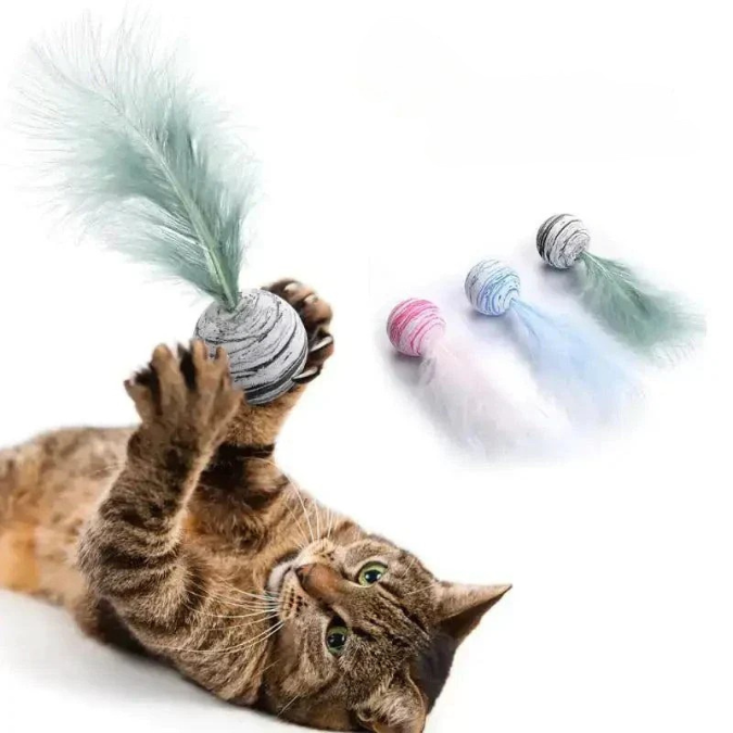 Cat Toy Feather