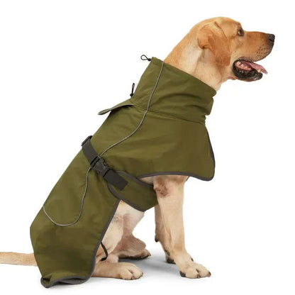 Cozy Canine Winter