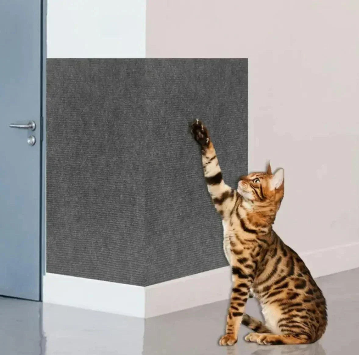 cat scratcher