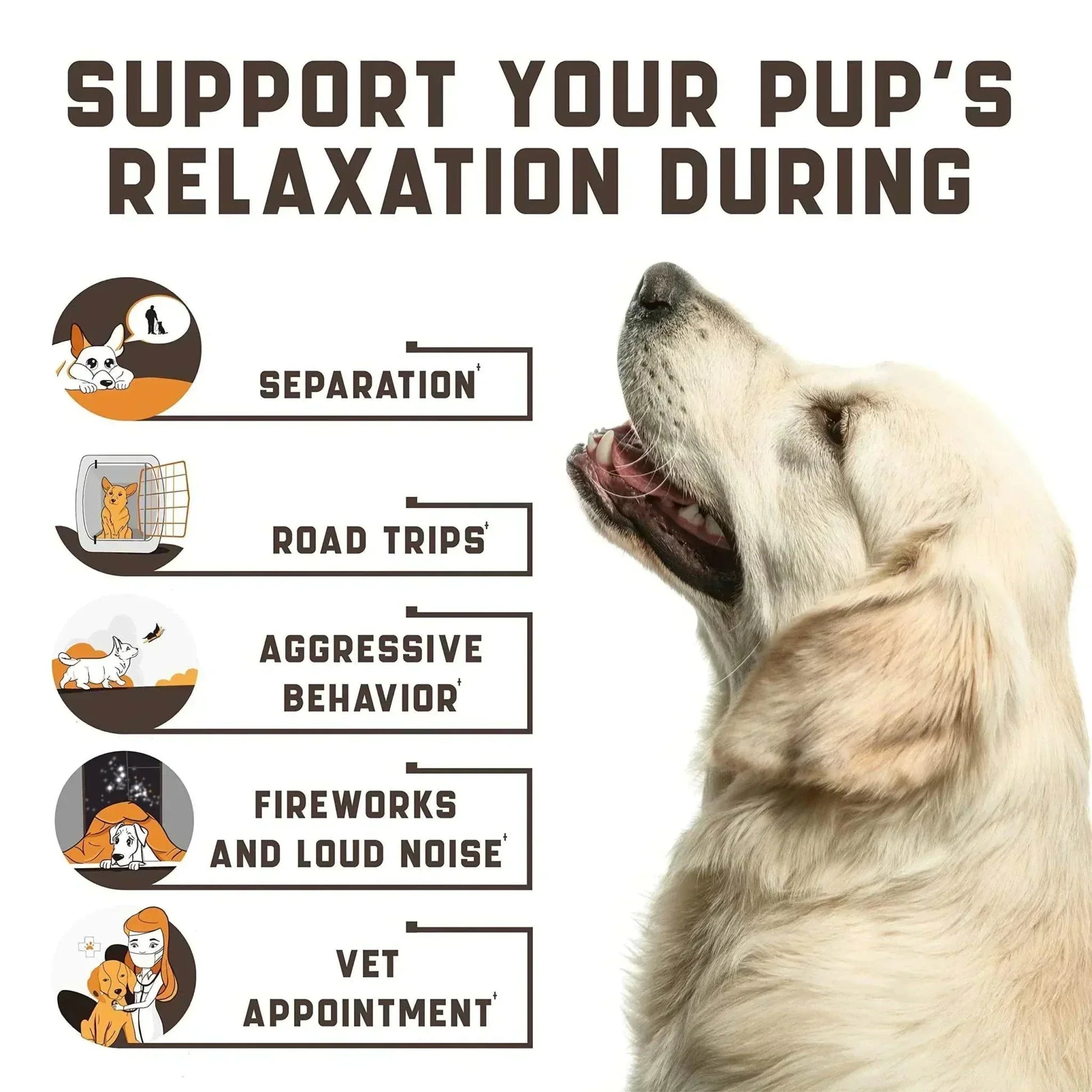 calming chews for dogs