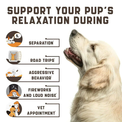 calming chews for dogs