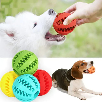 dog toys