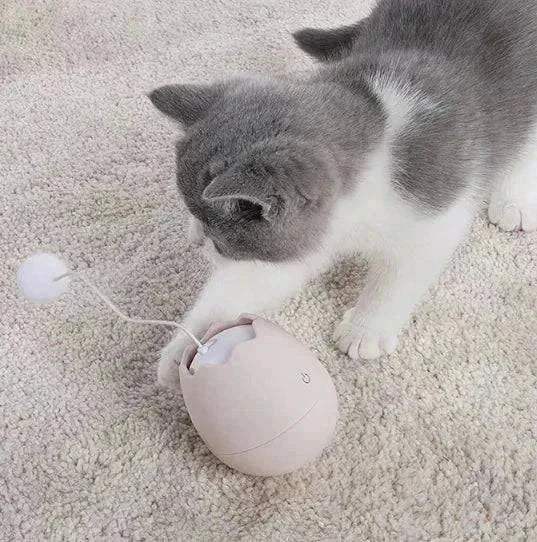 interactive cat toys