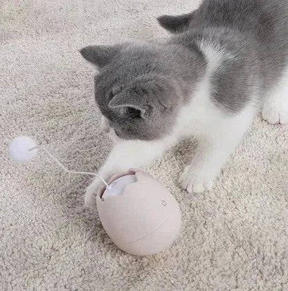 interactive cat toys
