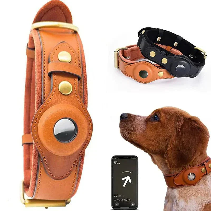 gps dog collar