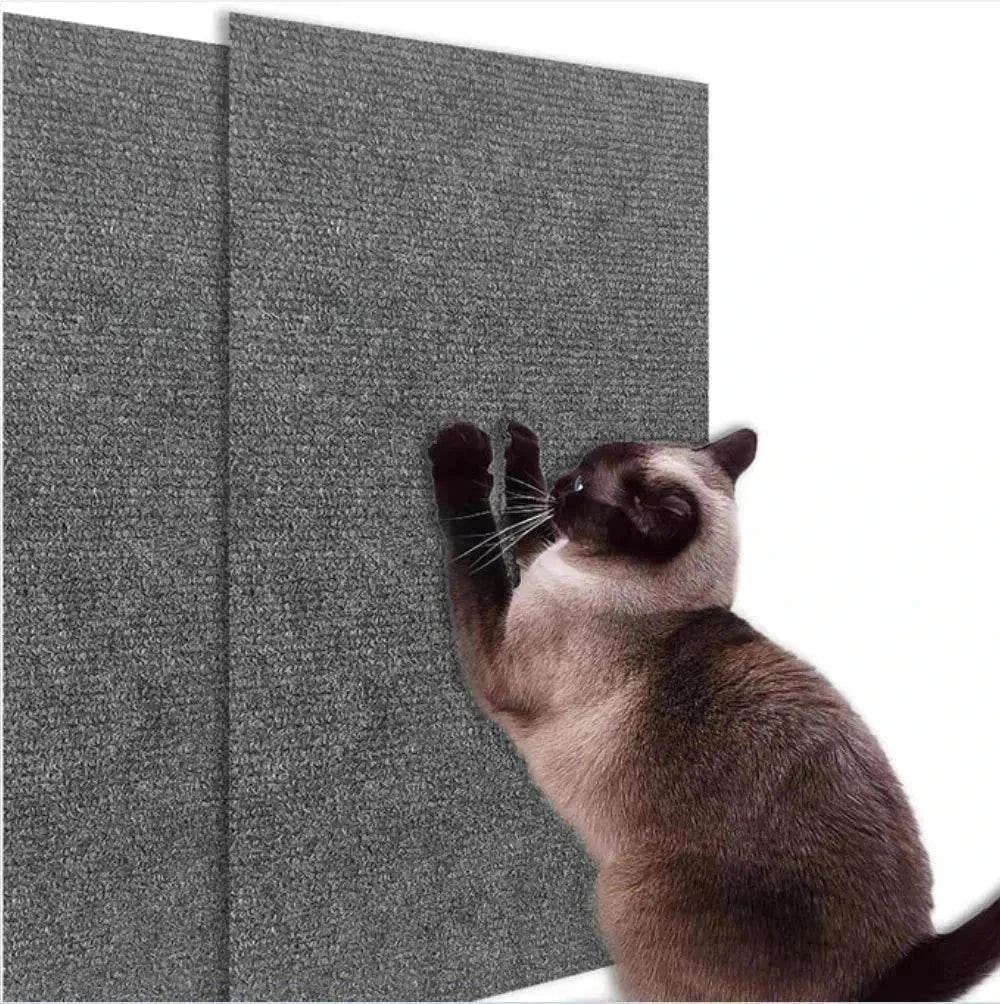 cat scratcher