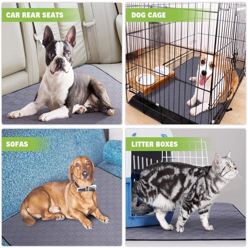 EcoWise Pet Care