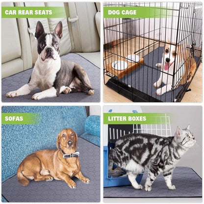 EcoWise Pet Care