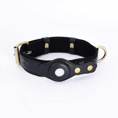 gps dog collar