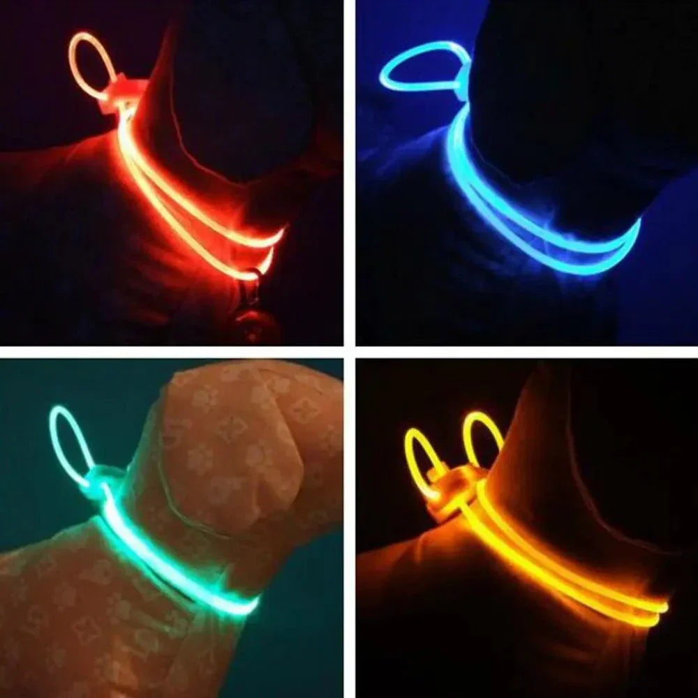 Glowing Pup Fashion