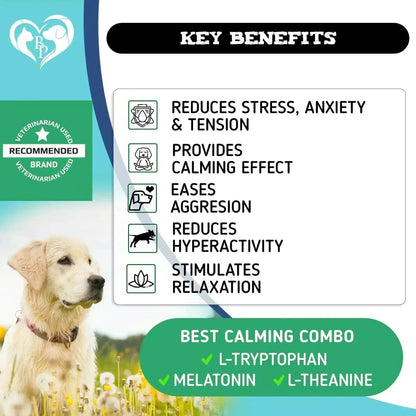calming chews for dogs