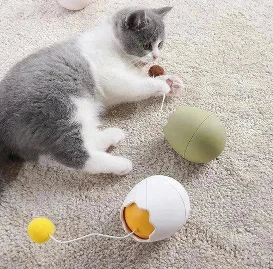 interactive cat toys