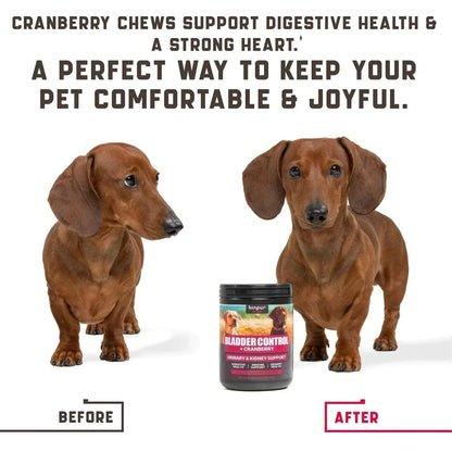 urinary care dog food