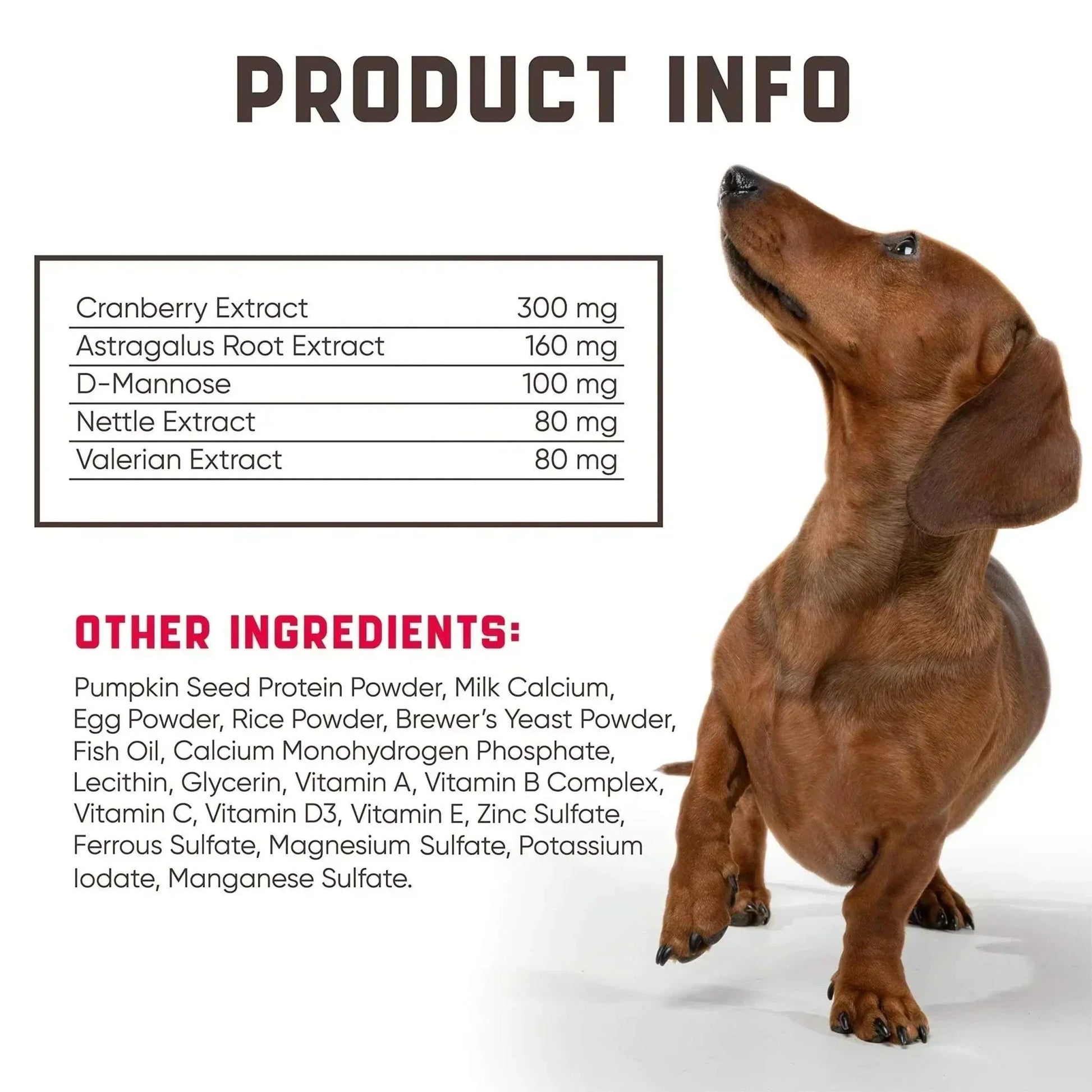 urinary care dog food