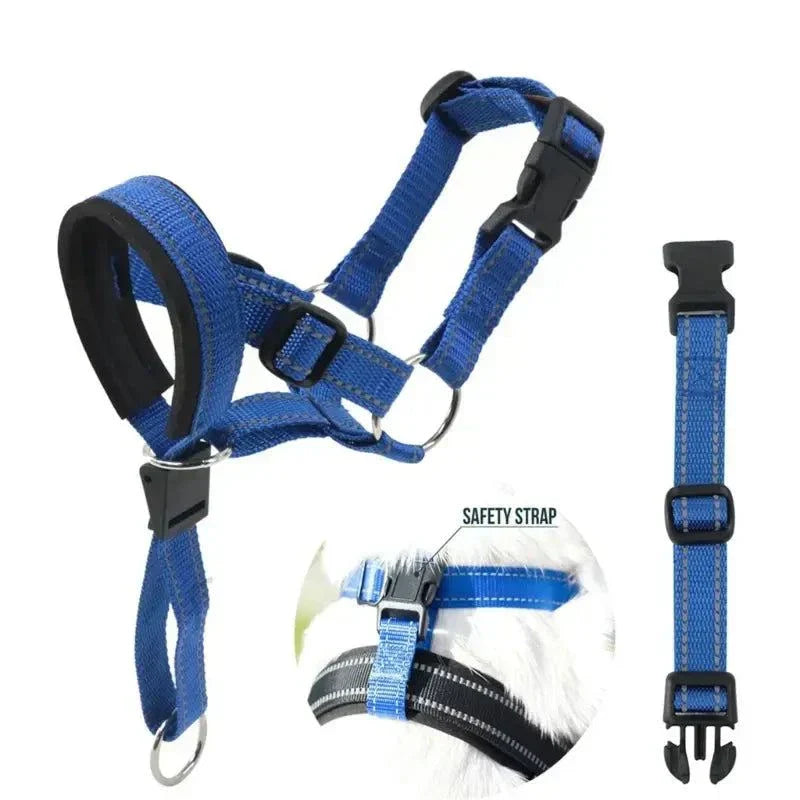 dog training collars