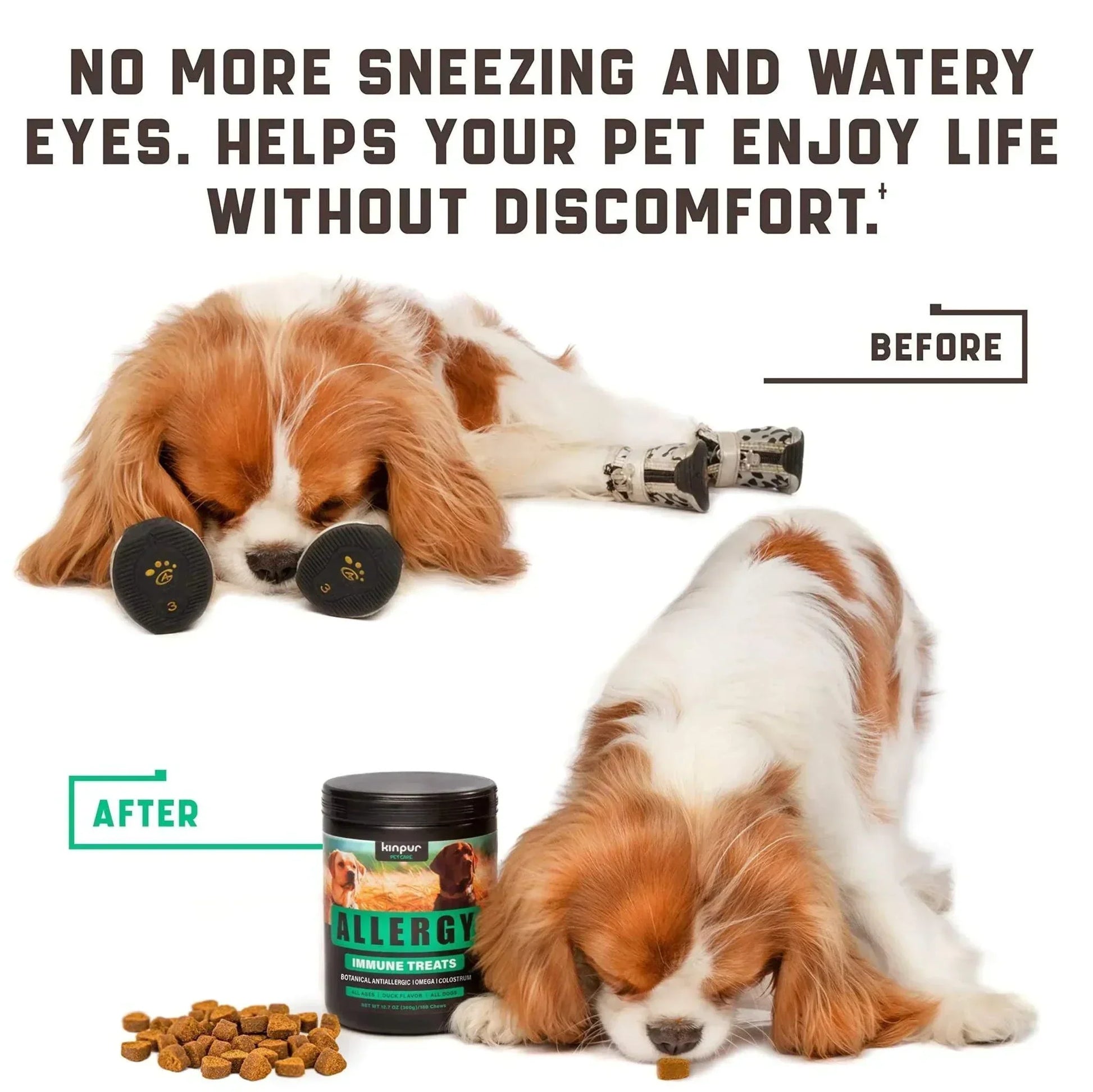 Natural Dog Allergy