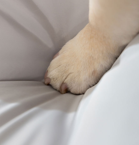 Waterproof Dog Bed