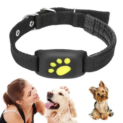 gps dog collar