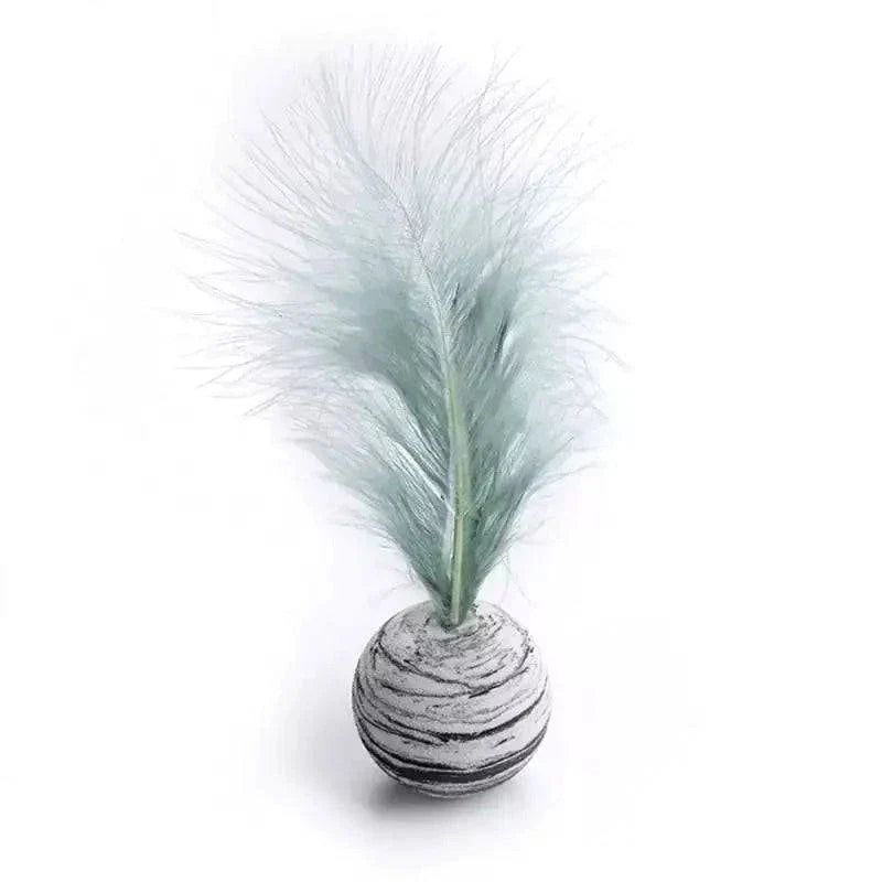 Cat Toy Feather